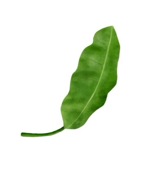 Accueil