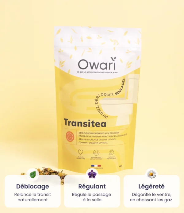 OWARI Transit Tea 50g