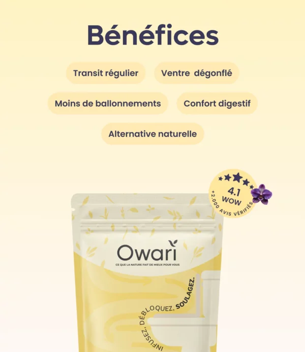 OWARI Transit Tea 50g