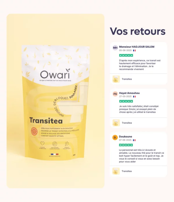 OWARI Transit Tea 50g