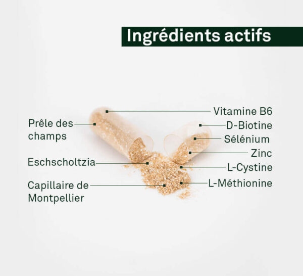 LUXEOL Routine Anti-Chute Avancée